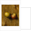 Hanging Apples by Stanley S. David