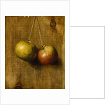 Hanging Apples by Stanley S. David