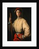 Portrait of a Halberdier (Francesco Guardi?) by Pontormo