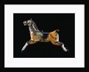 19th or 20th Century Carousel Horse by Anonymous