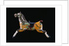 19th or 20th Century Carousel Horse by Anonymous