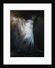 The Dancer by Jan Baptist Scherer
