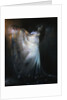 The Dancer by Jan Baptist Scherer