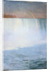 Waterfall and Rainbow: Niagara by Albert Bierstadt