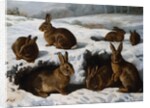 Rabbits in the Snow by William Luker