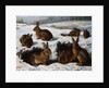 Rabbits in the Snow by William Luker