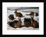 Rabbits in the Snow by William Luker