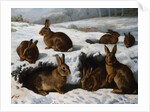 Rabbits in the Snow by William Luker