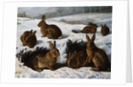 Rabbits in the Snow by William Luker