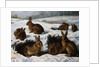 Rabbits in the Snow by William Luker