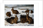 Rabbits in the Snow by William Luker