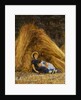 Past Work by Helen Allingham