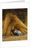 Past Work by Helen Allingham