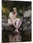 Dagmar by Anders Leonard Zorn