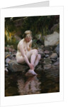 Dagmar by Anders Leonard Zorn