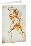 Anatomical Study: A Nude Striding to the Right His Hands Behind His Back by Peter Paul Rubens