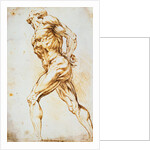 Anatomical Study: A Nude Striding to the Right His Hands Behind His Back by Peter Paul Rubens