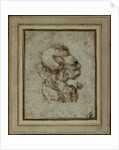 Caricature of an Elderly Woman by Leonardo da Vinci