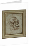 Caricature of an Elderly Woman by Leonardo da Vinci