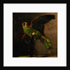 The Green Parakeet by Vincent Van Gogh