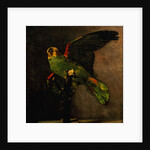 The Green Parakeet by Vincent Van Gogh