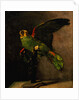 The Green Parakeet by Vincent Van Gogh