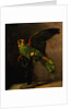 The Green Parakeet by Vincent Van Gogh