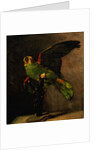 The Green Parakeet by Vincent Van Gogh