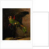 The Green Parakeet by Vincent Van Gogh
