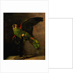 The Green Parakeet by Vincent Van Gogh