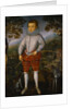 Portrait of a Boy by Robert Peake