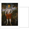 Portrait of a Boy by Robert Peake