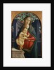 The Madonna and Child in a Niche Decorated with Roses by the Studio of Sandro Botticelli by Anonymous