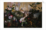 Fairies Round a Bird's Nest by John Anster Fitzgerald