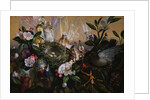 Fairies Round a Bird's Nest by John Anster Fitzgerald