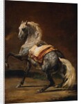 Dappled Grey Horse by Theodore Gericault