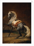 Dappled Grey Horse by Theodore Gericault