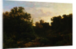 Woodland Scene with Pond by William Trost Richards