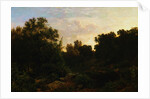 Woodland Scene with Pond by William Trost Richards