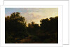 Woodland Scene with Pond by William Trost Richards