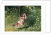 Girl on a Swing by Winslow Homer