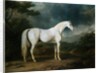 White Horse in a Wooded Landscape by Sawrey Gilpin