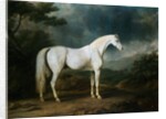 White Horse in a Wooded Landscape by Sawrey Gilpin