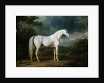 White Horse in a Wooded Landscape by Sawrey Gilpin