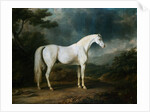 White Horse in a Wooded Landscape by Sawrey Gilpin