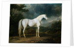 White Horse in a Wooded Landscape by Sawrey Gilpin