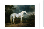 White Horse in a Wooded Landscape by Sawrey Gilpin