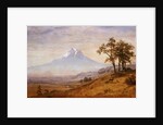 Mount Hood by Albert Bierstadt