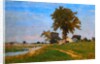 Old Elm at Medfield by George Inness