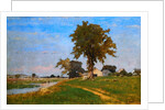 Old Elm at Medfield by George Inness
